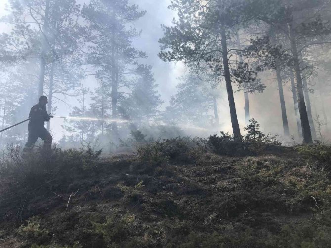 Kastamonu’da Orman Yangını, Polis Ekiplerinin Dikkati Sayesinde Büyümeden Söndürüldü