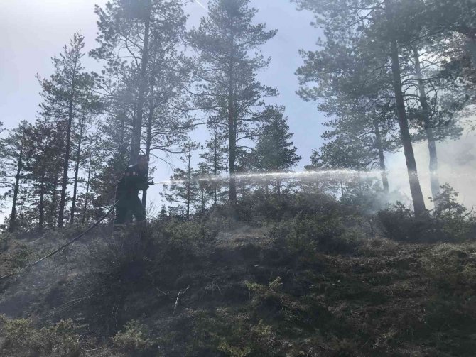 Kastamonu’da Orman Yangını, Polis Ekiplerinin Dikkati Sayesinde Büyümeden Söndürüldü