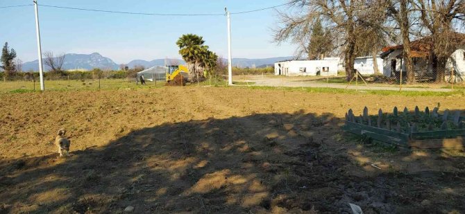 Köyceğiz’de Fideler Toprakla Buluştu