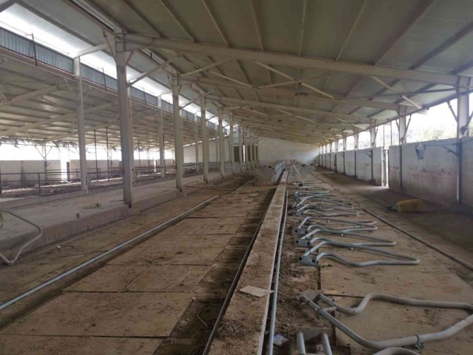 Besi Çiftliğinden Hırsızlık Yapan Kişi Jandarma Tarafından Yakalandı