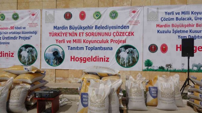 Mardin’de Üreticilere Yüzde 90 Hibe İle Yem Dağıtıldı