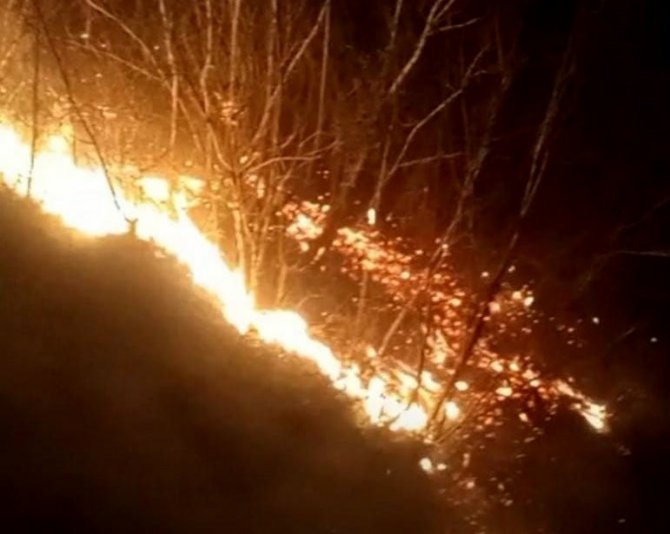 Osmaniye’de Orman Yangını