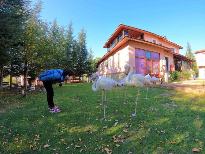 Ailelerin Bu Hatası Çocuğun Geleceğini Karartıyor