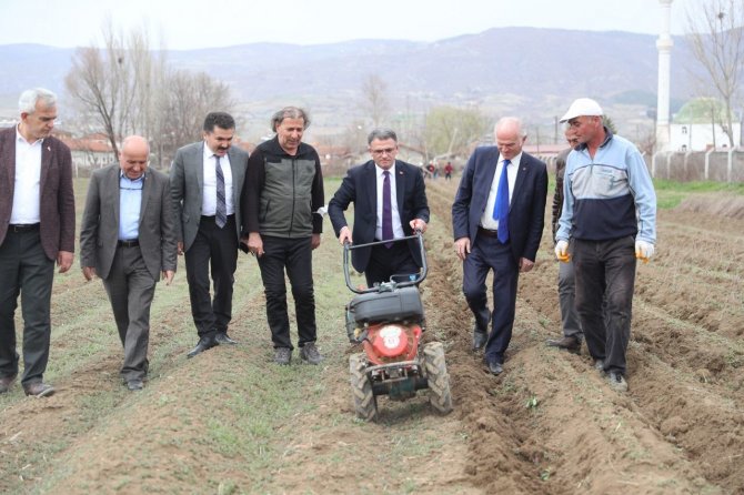 Vali Çapa Makinasının Başına Geçti Tarla Sürdü