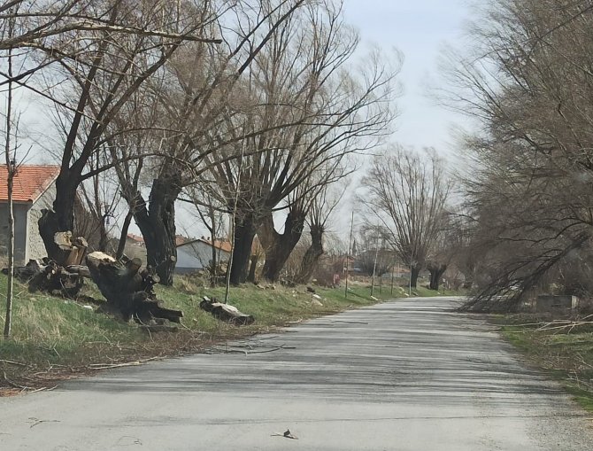 Şiddetli Rüzgar Afyonkarahisar’da Hayatı Olumsuz Etkiledi