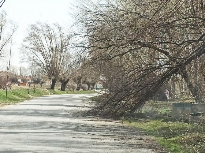 Şiddetli Rüzgar Afyonkarahisar’da Hayatı Olumsuz Etkiledi