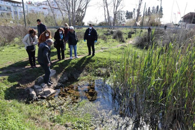 Antalya’da Müsilaj Tehlikesine Karşı Saha Çalışması