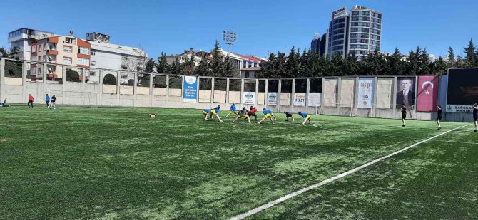 Rafet Orhan: “Sinoplu’nun Vizyonunu En Üst Seviyeye Çıkaracağız”