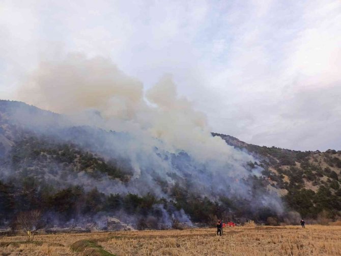Çorum’daki Orman Yangını Kontrol Altına Alındı