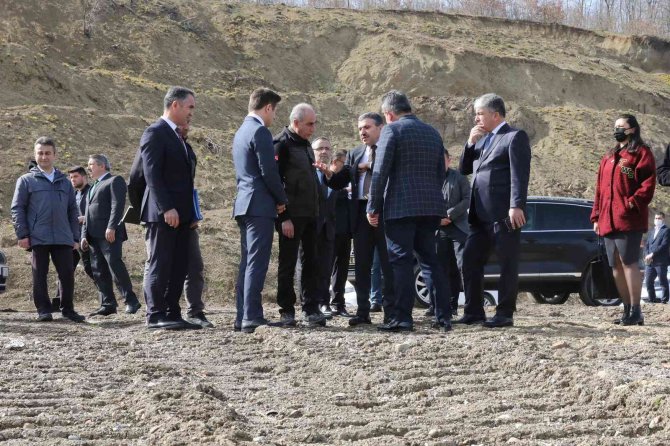 Cumayeri’nde Sokak Hayvanları İçin Bakımevi Yapılacak