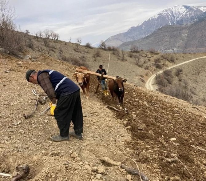 Bu Köyde Hala "Kara Saban" Kullanılıyor