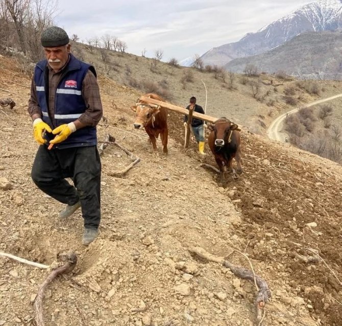 Bu Köyde Hala "Kara Saban" Kullanılıyor
