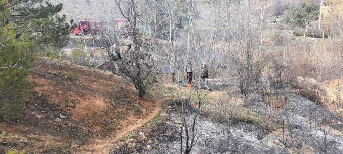 Banaz’da Orman Yangını