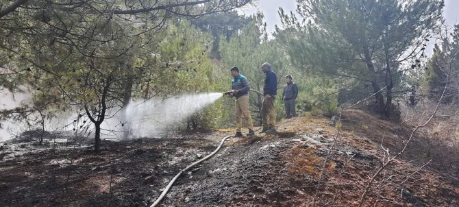 Banaz’da Orman Yangını
