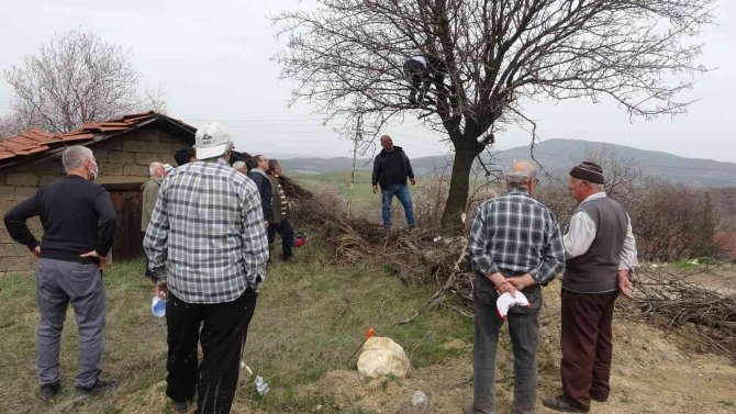 Karabük’te Yetiştirilecek Fıstık, Köylüler İçin Gelir Kaynağı Olacak