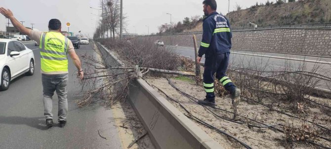 Belediye, Fırtınalı Başkent Gününde De Teyakkuzdaydı