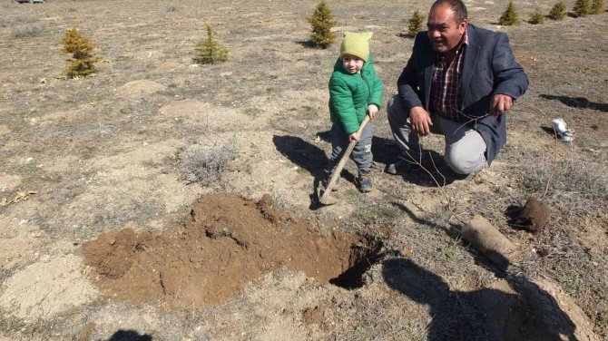 Ağaç Sevdalısı Köylüler 28 Yıldır Bu Şenlikte Buluşuyor