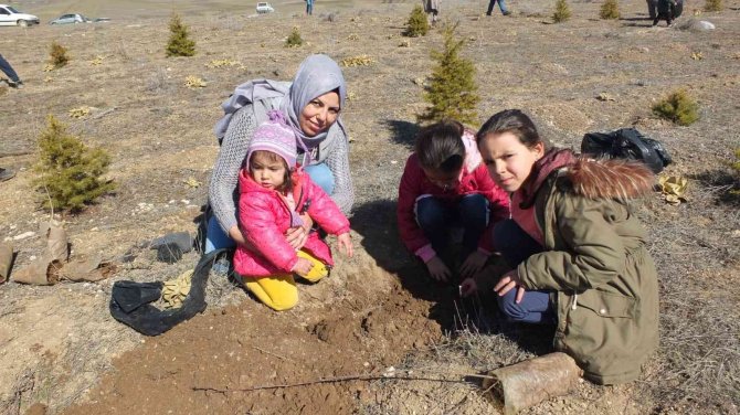 Ağaç Sevdalısı Köylüler 28 Yıldır Bu Şenlikte Buluşuyor