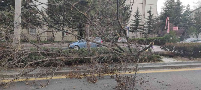 Belediye, Fırtınalı Başkent Gününde De Teyakkuzdaydı