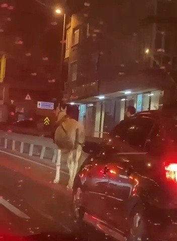 Avcılar’da ‘E-5 Kovboyu’ Trafiği Birbirine Kattı