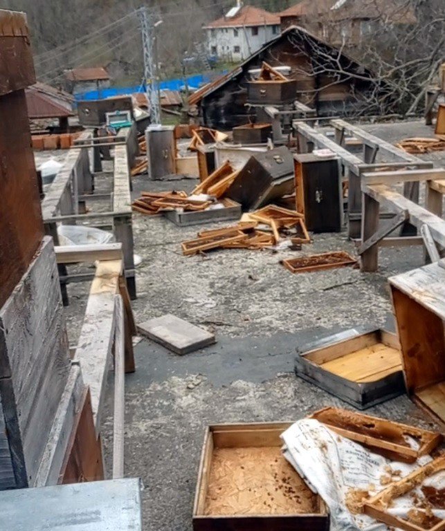Sinop’ta Ayılar, Evin Terasındaki Arı Kovanlarını Parçaladı