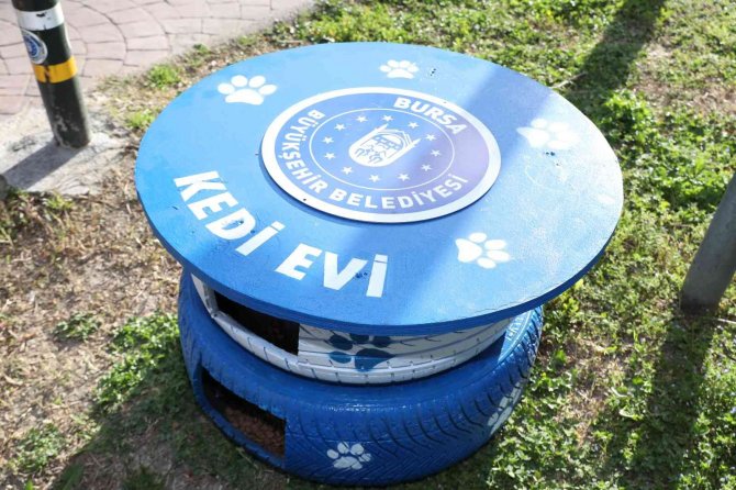 Eski Lastikler Kedilere Ev Oldu