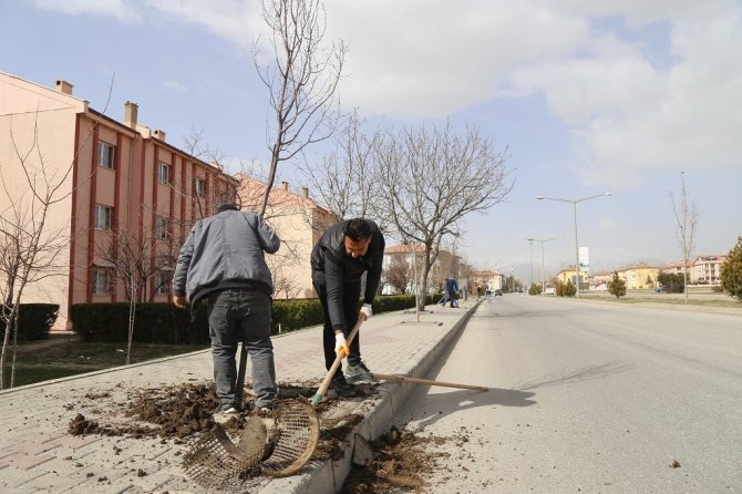 Cadde Ve Kaldırımlara Farklı Türlerde 200 Adet Ağaç Dikildi