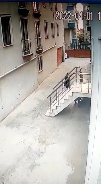 El Ele Geldiler, Çalıp Gittiler