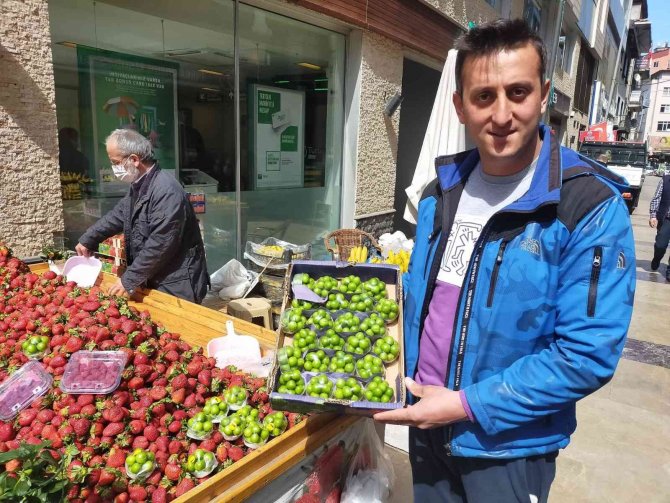 Tane Erik 3 Tl’den Tezgahta