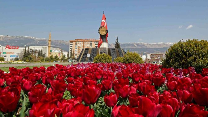 Kahramanmaraş Çiçeklerle Renklendi