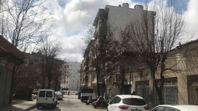 Kırklareli’nde Budanmayan Ağaçlar Esnaf Ve Vatandaşları Üzüyor