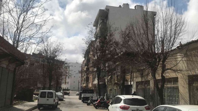 Kırklareli’nde Budanmayan Ağaçlar Esnaf Ve Vatandaşları Üzüyor