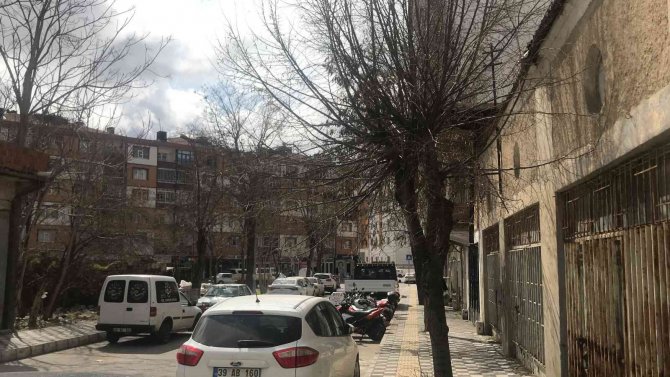 Kırklareli’nde Budanmayan Ağaçlar Esnaf Ve Vatandaşları Üzüyor