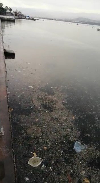 Kocaeli Körfezi Çöplüğe Döndü