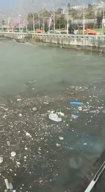 Kocaeli Körfezi Çöplüğe Döndü