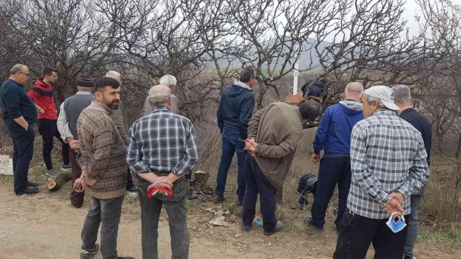 Karabük’te Yetiştirilecek Fıstık, Köylüler İçin Gelir Kaynağı Olacak