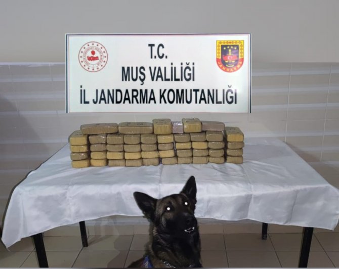 Muş’ta 22 Kilo 500 Gram Eroin Ele Geçirildi
