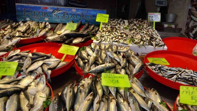 Ramazanda Balığa İlgi Az Olunca Fiyatlar Geriledi