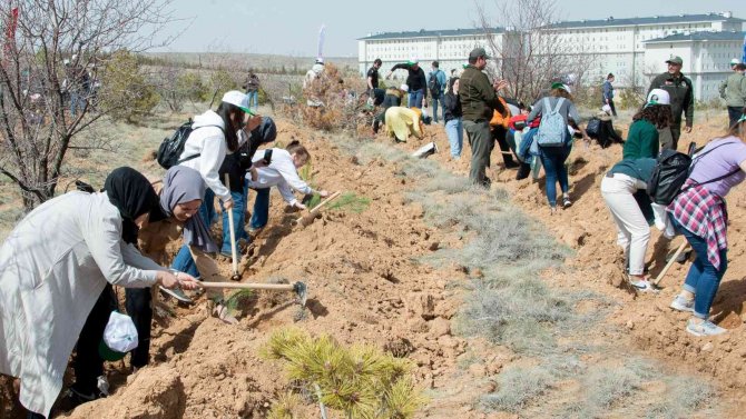 Selçuk Üniversitesinde Bin 500 Fidan Toprakla Buluşturuldu