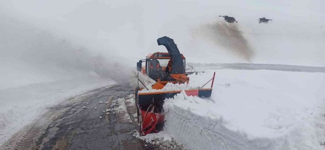 Kar Kalınlığının 5 Metreyi Bulduğu Tanin Tanin Geçidi’nde Yollar Ulaşıma Açık