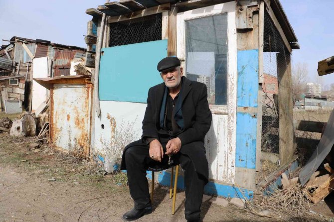 Ne Yaptıysa Olmadı, Güvercinlerine Dadanan Hırsızlarla Baş Edemiyor