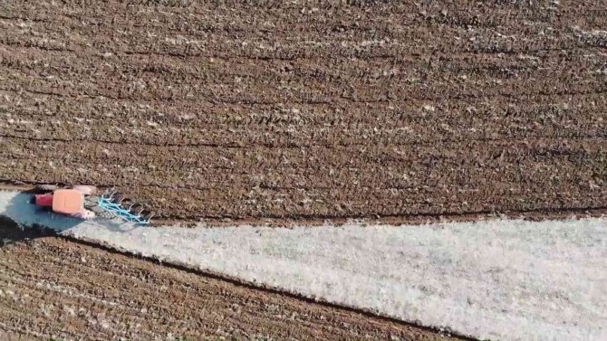 Devlet Desteği Çiftçinin Yüzünü Güldürdü, Yüzde 75 Hibeyle 500 Ton Tohum Dağıtıldı