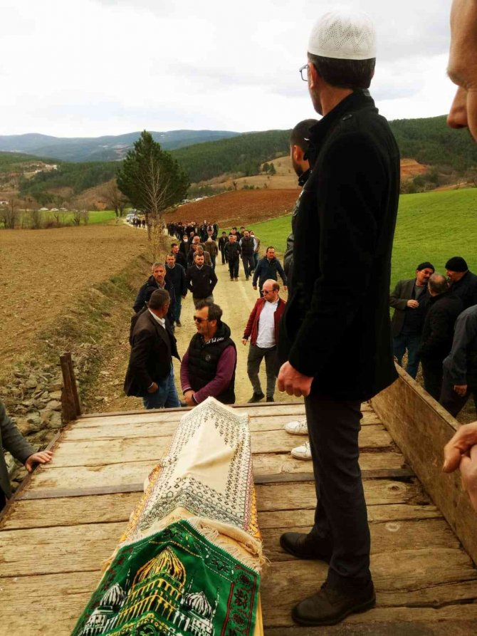Orman Kesimi Sırasında Öldürülen Bayam Toprağa Verildi