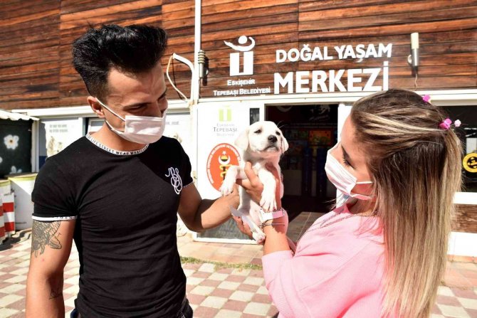11 Bin 924 Sokak Hayvanı Sıcak Bir Yuvaya Kavuştu