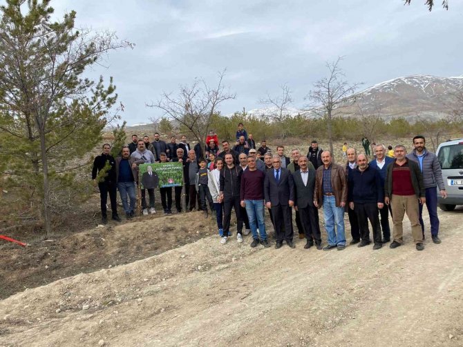 Türkeş’in Vefatının Yıldönümünde Fidan Dikimi Gerçekleştirildi