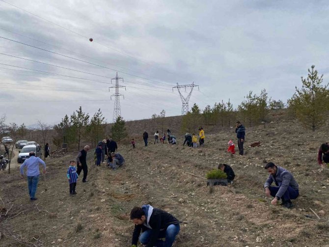 Türkeş’in Vefatının Yıldönümünde Fidan Dikimi Gerçekleştirildi