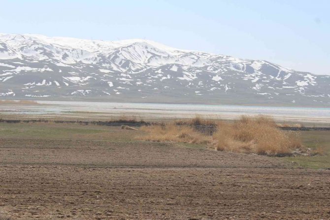 Muradiye’de Sazlık Yangını