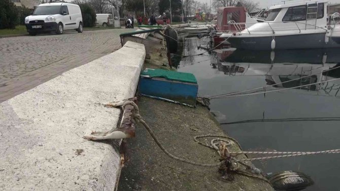 Çöken Barınağa Yalova Belediyesi’nin Parası Yetmedi, Dlh’nın Yapması Bekleniyor