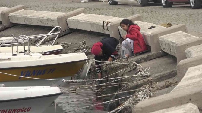Çöken Barınağa Yalova Belediyesi’nin Parası Yetmedi, Dlh’nın Yapması Bekleniyor