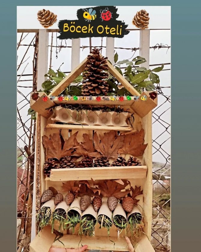 Tema’lı Öğrenciler “Böcek Oteli” Yaptı